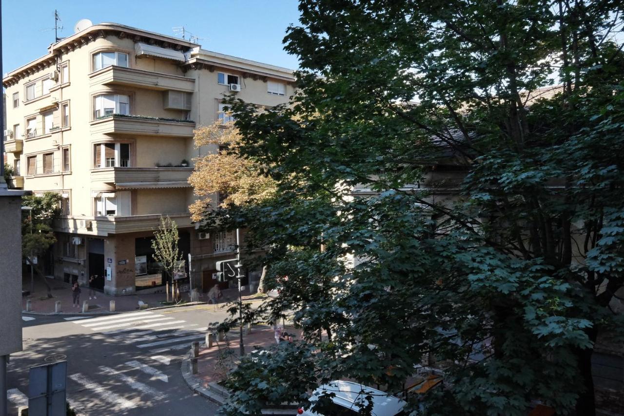 Paradise Starry Suite-city Center Lägenhet Belgrad